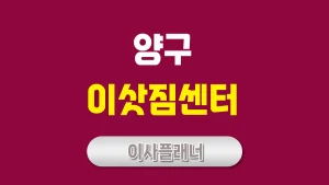 양구 이사업체 비교 포장이사와 용달이사 어떤 선택이 좋을까