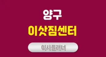 양구 이사업체 비교 포장이사와 용달이사 어떤 선택이 좋을까