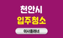 천안 입주청소 대문